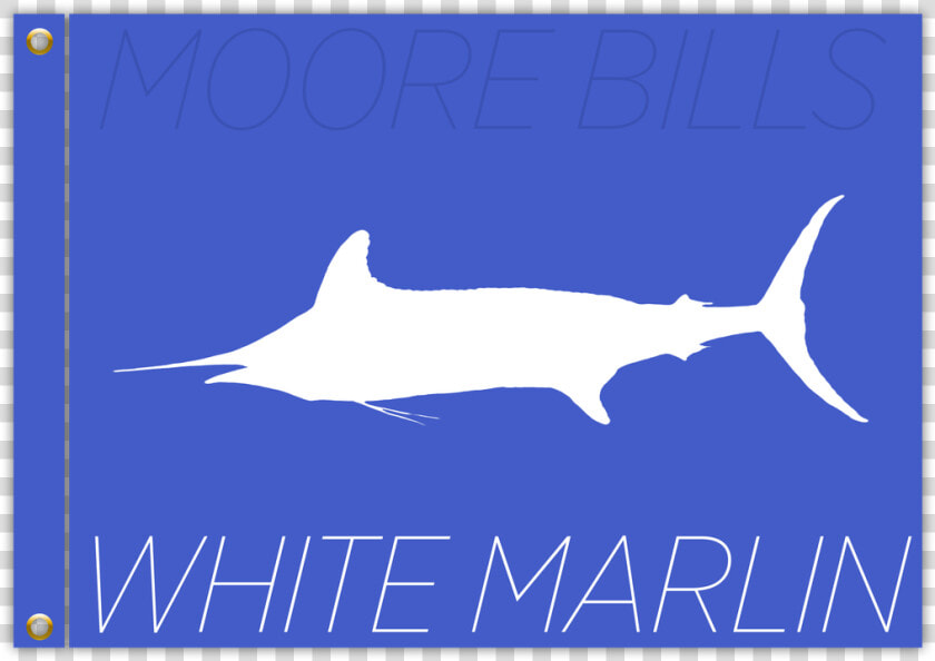 Atlantic Blue Marlin  HD Png DownloadTransparent PNG