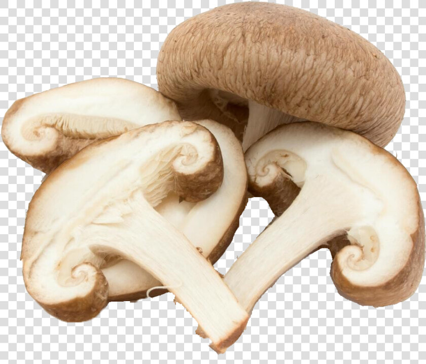 Mushroom Png Background   Shiitake Mushroom Cut In Half  Transparent PngTransparent PNG