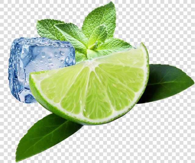 Lemon Png Images Free Download Searchpng   Lemon Fresh Png  Transparent PngTransparent PNG