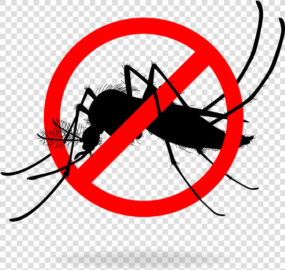 Stop Mosquito Breeding   Stop Mosquito  HD Png DownloadTransparent PNG