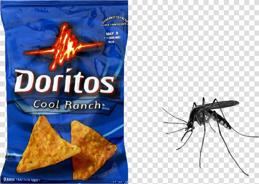 Doritos Cool Ranch Bag   Png Download   White People Think Is Spicy  Transparent PngTransparent PNG