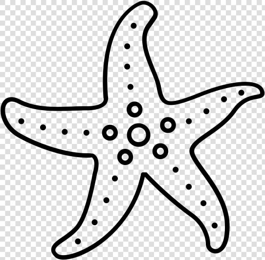 Class Lazyload Lazyload Mirage Cloudzoom Featured Image   Starfish  HD Png DownloadTransparent PNG