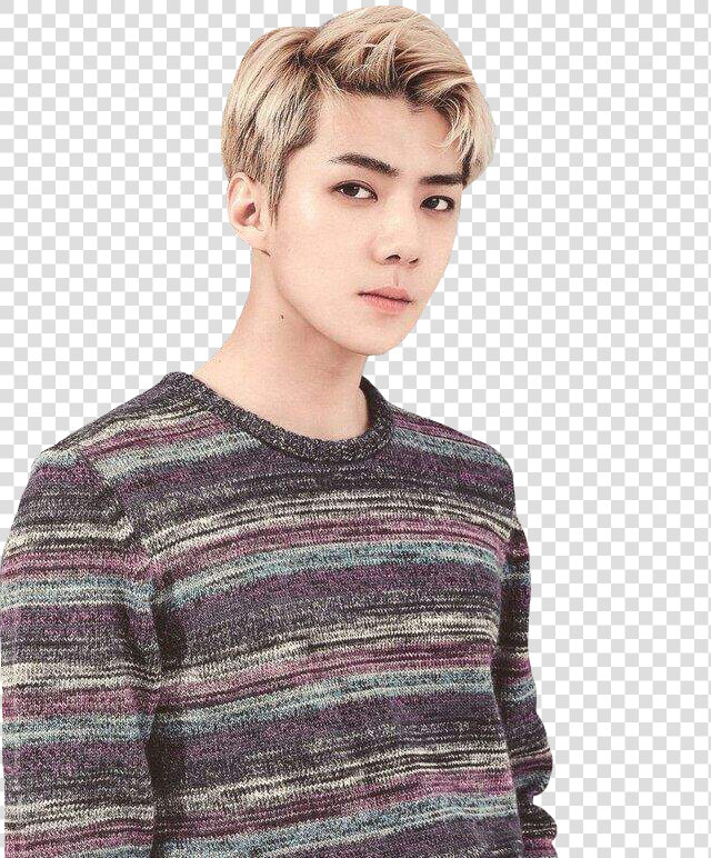 Exo Sehun Png   Png Download   Exo Sehun Season Greetings  Transparent PngTransparent PNG