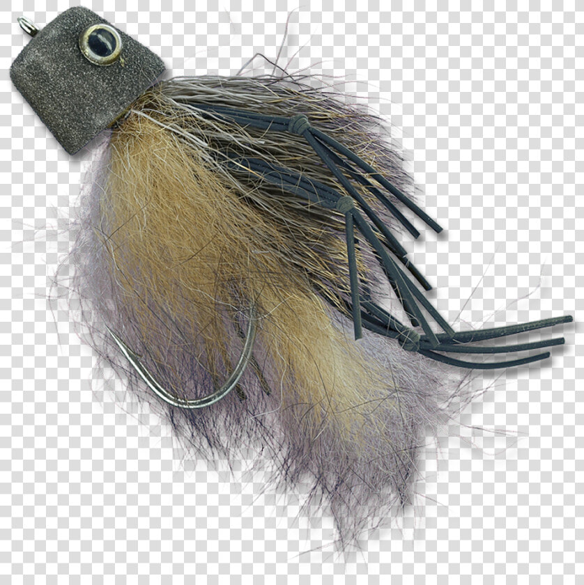 Australian Possum   Feather  HD Png DownloadTransparent PNG