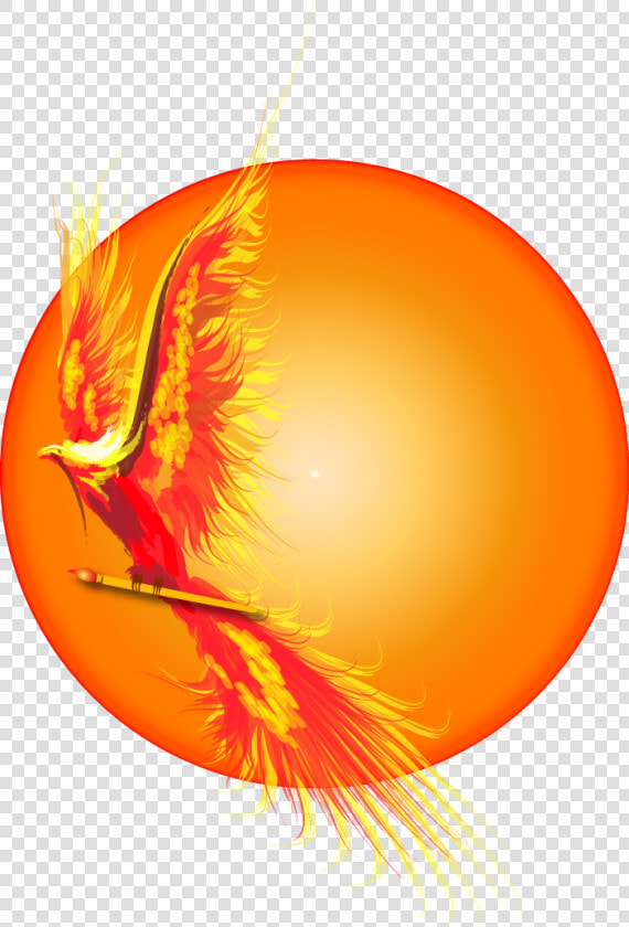 Rising From Ashes Png  Transparent PngTransparent PNG