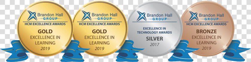 Hcm Excellence Bronze Brandon Hall  HD Png DownloadTransparent PNG