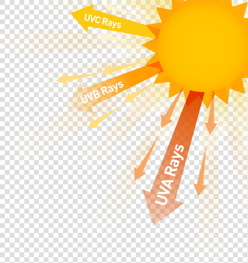 5 Simple Ways To Protect Your Eyes From Sun Exposure   Sun Uv Rays  HD Png DownloadTransparent PNG