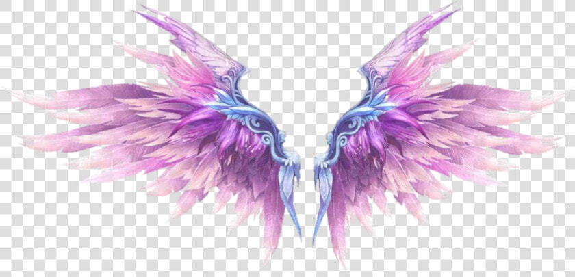  aesthetic  wing  wings  angel  freetoedit  mimi  sticker   Aesthetic Pink Angel Wings  HD Png DownloadTransparent PNG