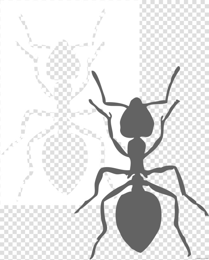 Page Of Clipartblack Com Black And White   Big Ant Clipart Black And White  HD Png DownloadTransparent PNG