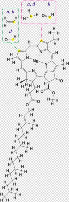 Structural Formula Of Chlorophyll  HD Png DownloadTransparent PNG