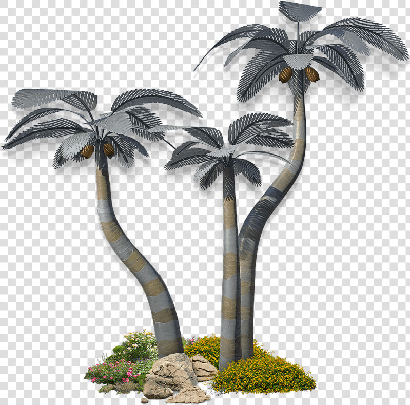 Palm Medium Group   Sabal Palmetto  HD Png DownloadTransparent PNG