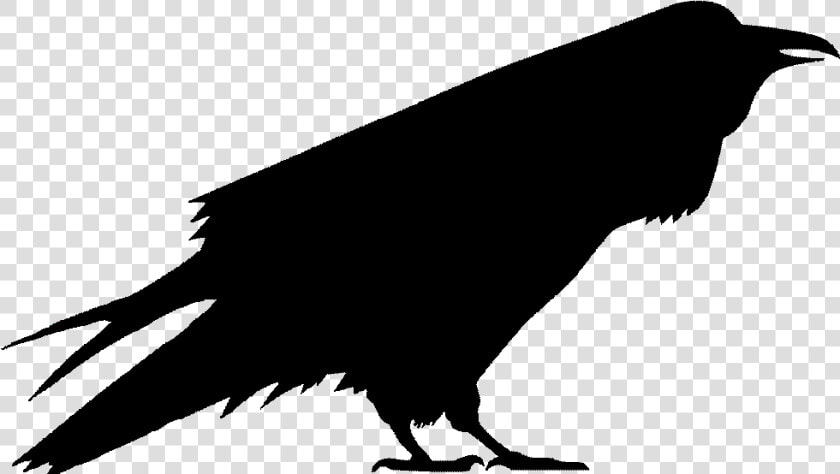 Association Of Old Crows Clipart   Png Download   Association Of Old Crows Logo  Transparent PngTransparent PNG