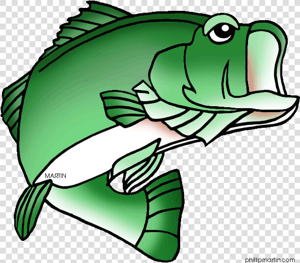 Largemouth Bass Fish Clip Art   Sea Bass Clip Art  HD Png DownloadTransparent PNG