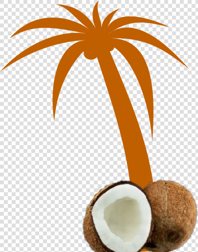 Mq Orange Palmtree Palm Coconut   Palm Tree Clip Art Vector  HD Png DownloadTransparent PNG