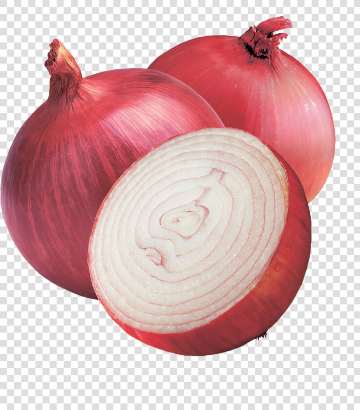 Onion Png Hd Wallpaper   Transparent Onion Png  Png DownloadTransparent PNG