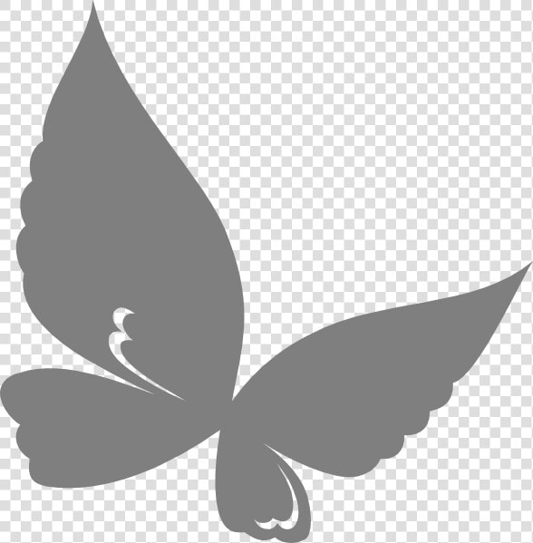 Teal Butterfly Clipart  HD Png DownloadTransparent PNG