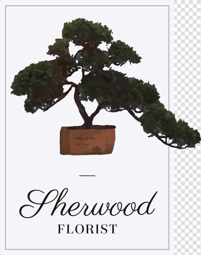 Fair Oaks  Ca Florist   Bonsai  HD Png DownloadTransparent PNG