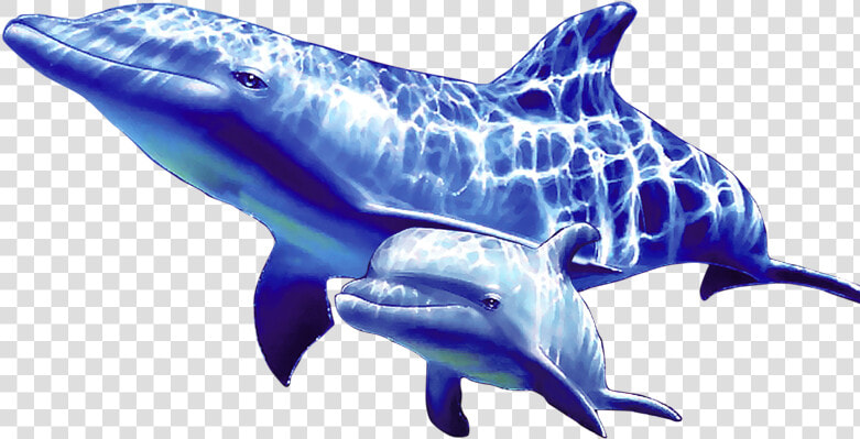 Transparent Dolphin Clipart Png   Dolphin Underwater Png  Png DownloadTransparent PNG