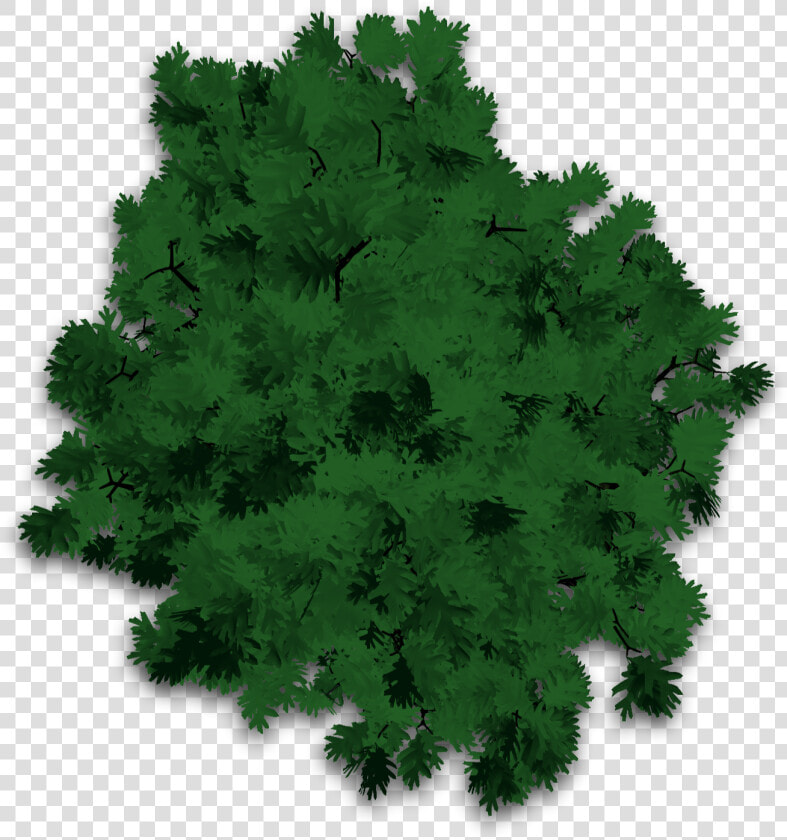 Transparent Thorn Bush Png   Maple Leaf  Png DownloadTransparent PNG