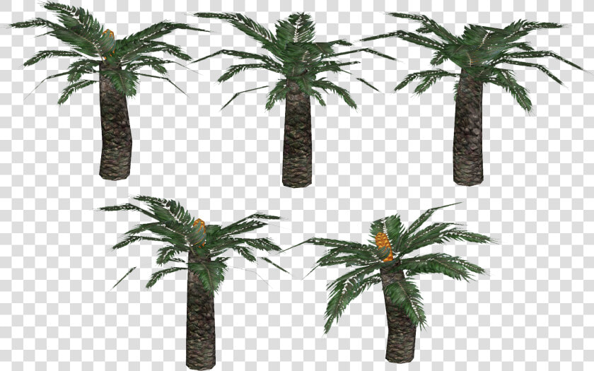 Plantas Prehistoricas Png  Transparent PngTransparent PNG