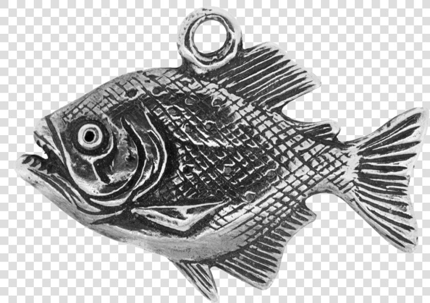 Transparent Piranha Png   Bass  Png DownloadTransparent PNG