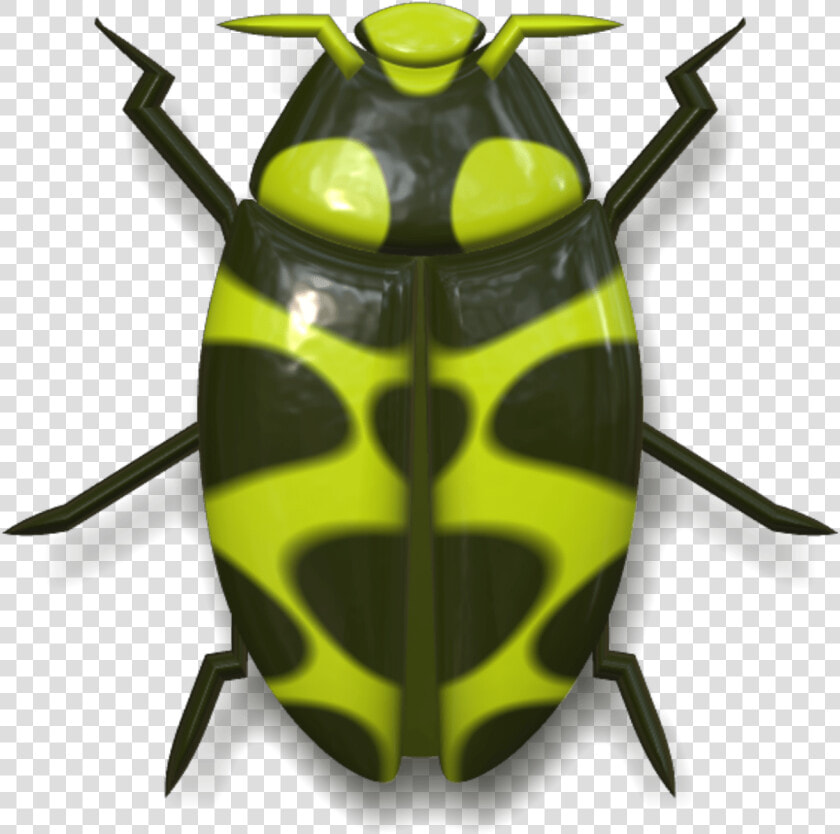 Ladybug Dark Green And Yellow   Mariquita Desde Arriba  HD Png DownloadTransparent PNG