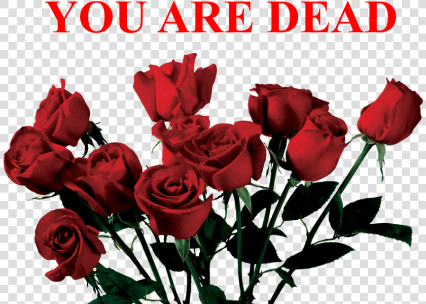  tumblr  aesthetic  roses  red  dead  sad  freetoedit   Aesthetic Transparent Rose Png  Png DownloadTransparent PNG