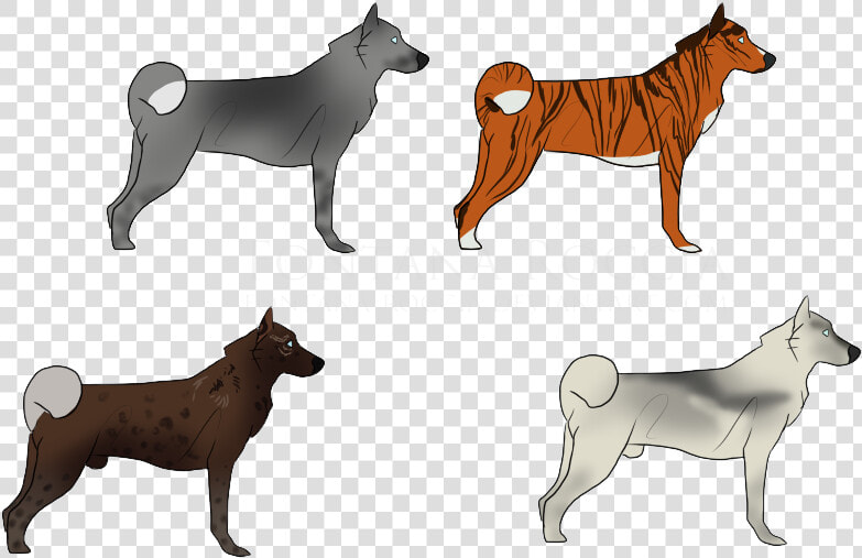 Dog Breed Finnish Spitz Shikoku Shiba Inu Siberian   Finnish Spitz  HD Png DownloadTransparent PNG