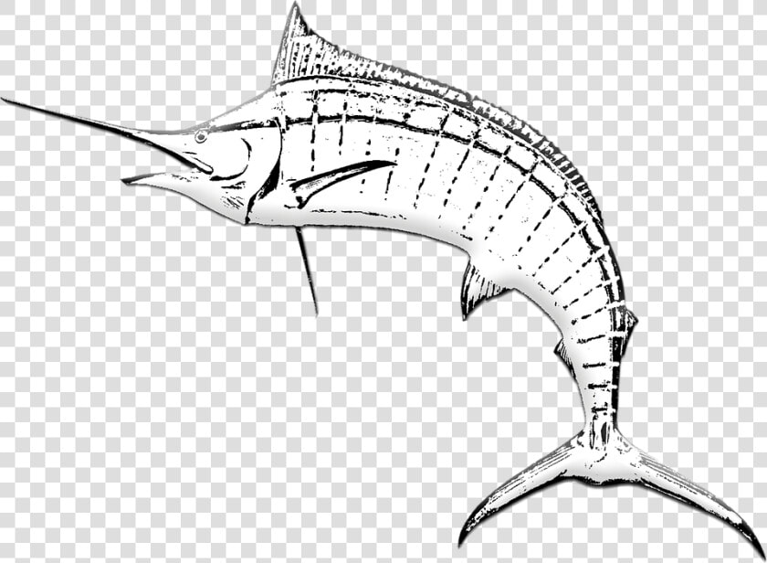 Marlin Fish  Sword Fish  Game Fishing  Marlin  Fishing   Gambar Ikan Pedang Hitam Putih  HD Png DownloadTransparent PNG