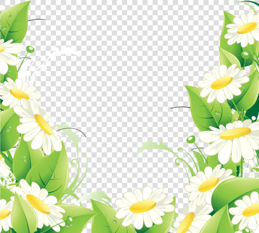 Фотки Flower Backgrounds  Pretty Flowers  Daisy  Flower   Bordure De Fleur Png  Transparent PngTransparent PNG