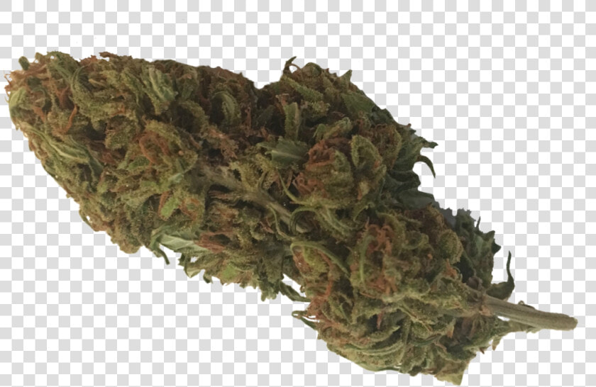 Hemp Buds  HD Png DownloadTransparent PNG