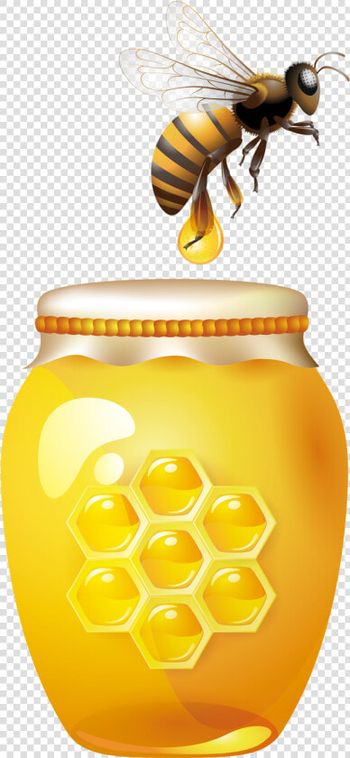 Transparent Honey Bees Png   Transparent Background Honey Bee Clipart  Png DownloadTransparent PNG