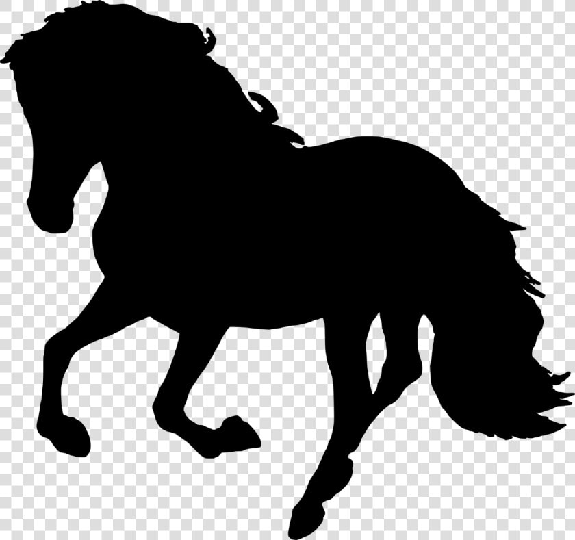 Horse Silhouette Animal Free Picture   Horse Black Clipart Png  Transparent PngTransparent PNG