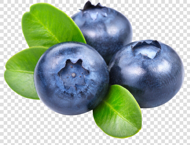 Blueberries Png  Transparent PngTransparent PNG