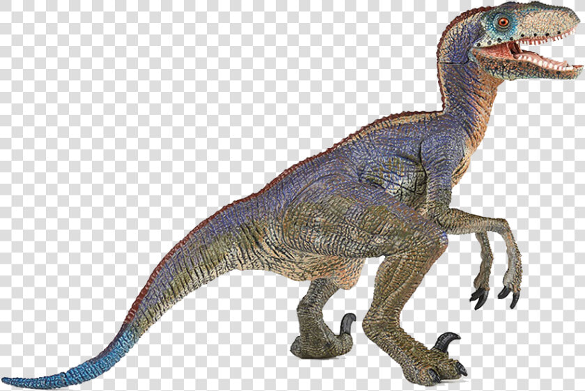 Dinosaur Png Free Images   Velociraptor Dinosaurs  Transparent PngTransparent PNG