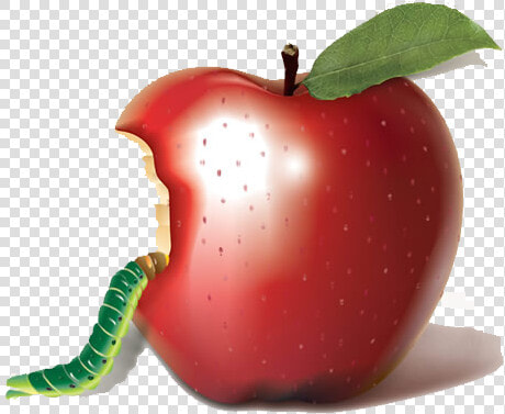 Apple Bobbing Biting Auglis   Apple Insect  HD Png DownloadTransparent PNG