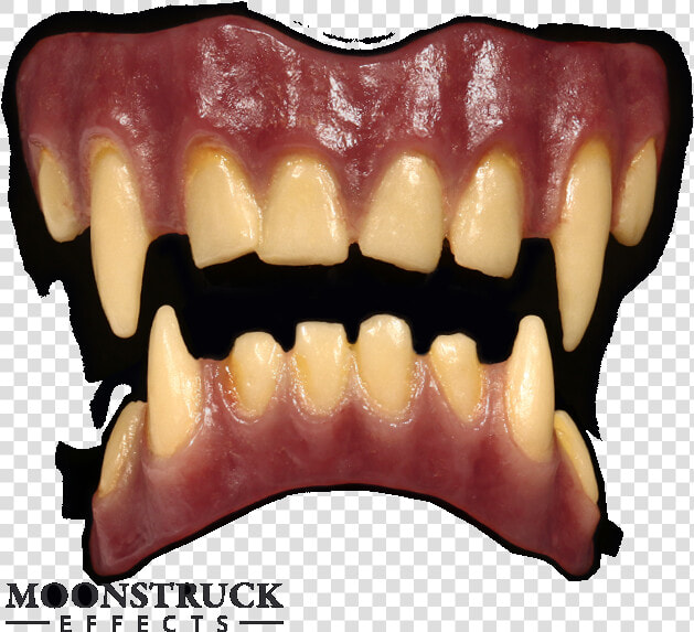 Tinsley Fx Teeth Werewolf   Png Download   Wolfs Teeth  Transparent PngTransparent PNG