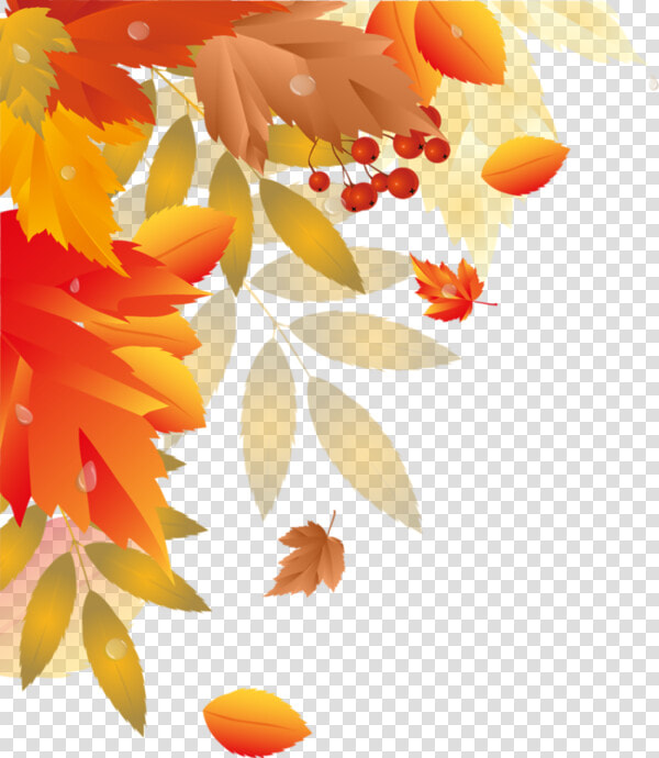 Bordures Tubes Coins Corners   Fall Leaves Corner Border Transparent  HD Png DownloadTransparent PNG