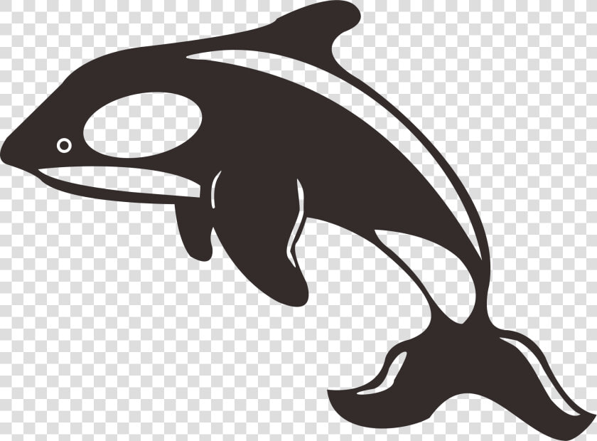 Clip Art Killer Whale Toothed   Whale And Dolphin Silhouette  HD Png DownloadTransparent PNG