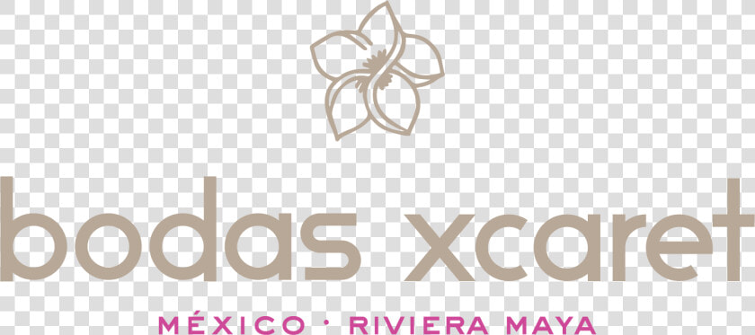 Bodas Xcaret   Graphics  HD Png DownloadTransparent PNG