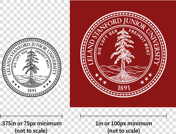 Stanford University  HD Png DownloadTransparent PNG