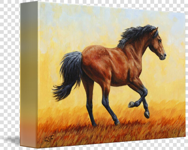 Acrylic Drawing Horse   Running Horse Canvas Painting  HD Png DownloadTransparent PNG