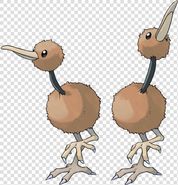 Doduo Pokemon Evolution  HD Png DownloadTransparent PNG