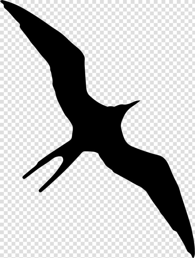 Transparent Bird Outline Png   Frigate Bird Silhouette  Png DownloadTransparent PNG