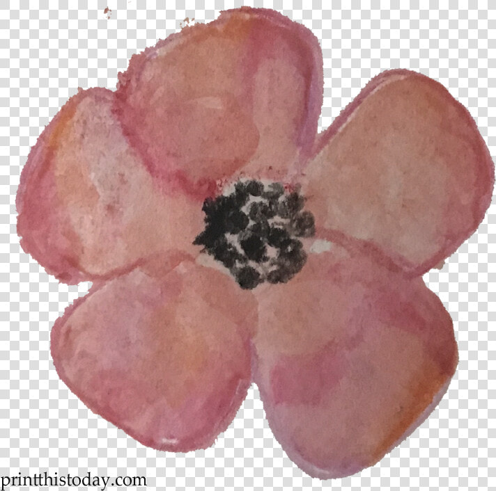 Watercolor Flower Clipart Free   Anemone  HD Png DownloadTransparent PNG