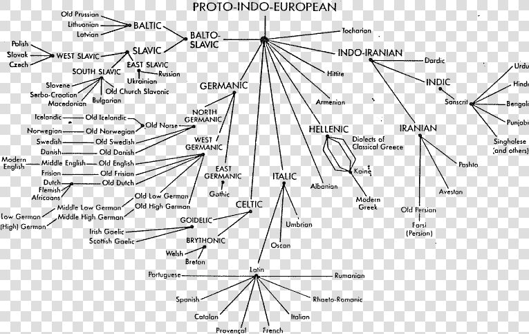 Sanskrit Language Tree   Proto Indo European Tree Of Language  HD Png DownloadTransparent PNG