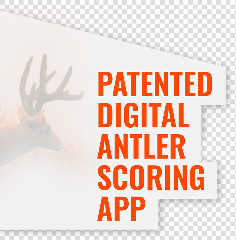 Antler Png  Transparent PngTransparent PNG