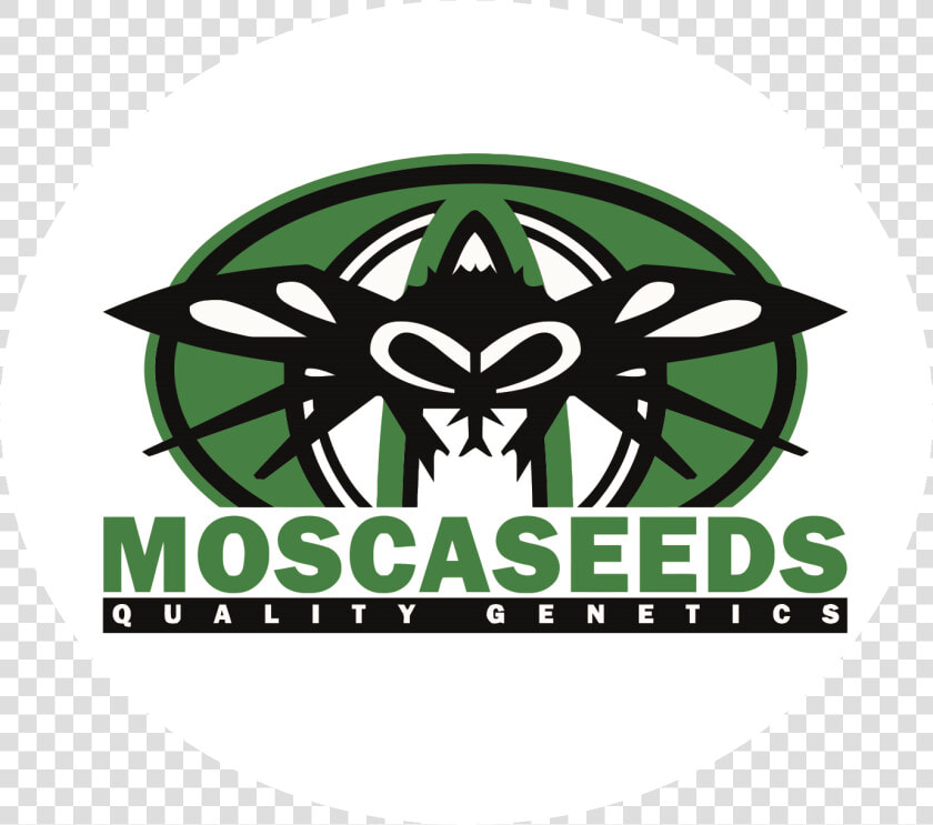 Mosca Seeds   Mosca Seeds Logo  HD Png DownloadTransparent PNG