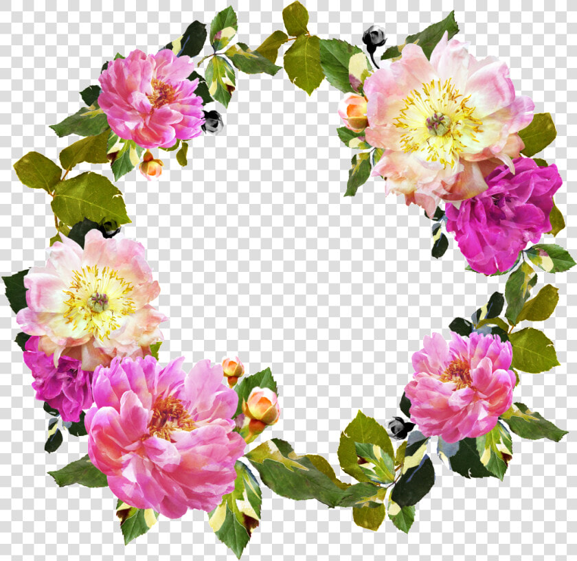 Corona De Rey   Rosa Rubiginosa  HD Png DownloadTransparent PNG