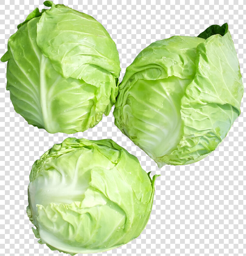 Iceburg Lettuce  HD Png DownloadTransparent PNG